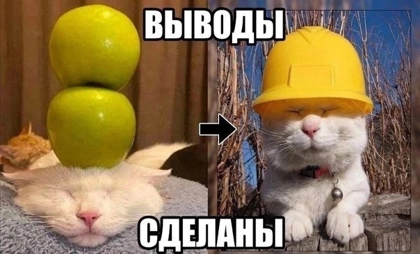 1735776227201.jpeg