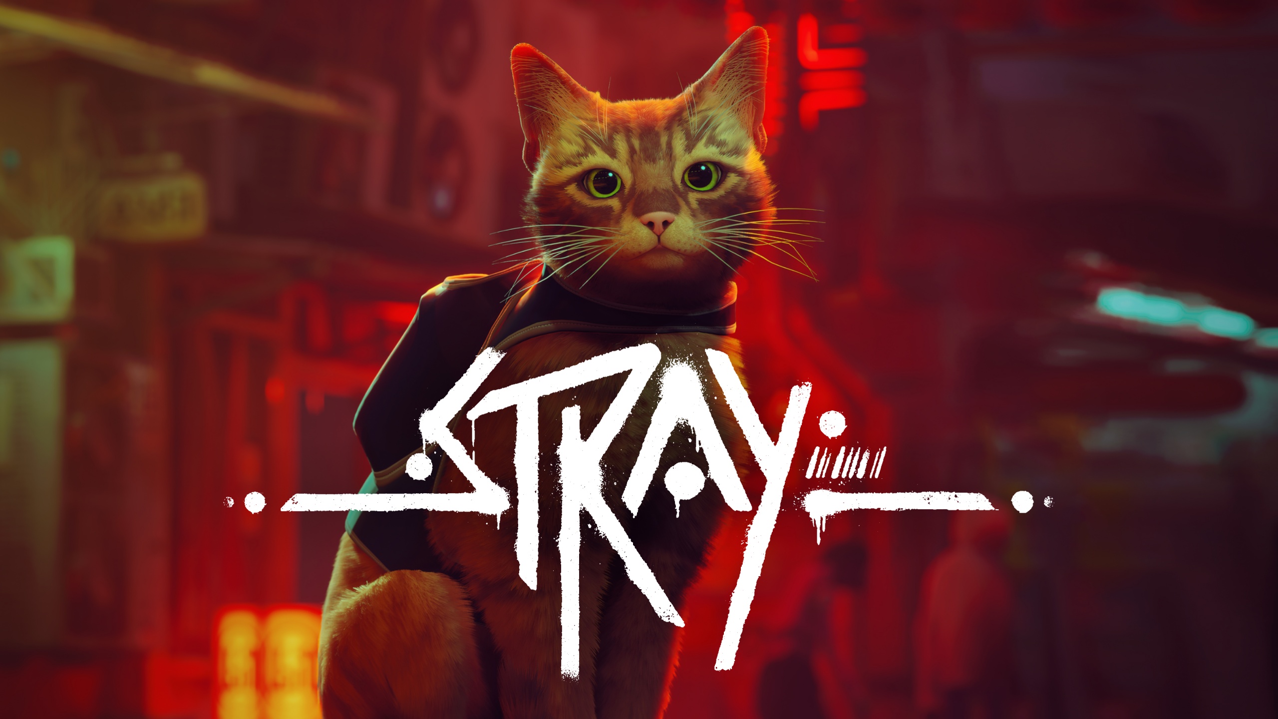 stray-stray-cat-pc-games-playstation-4-playstation-5-2022-2560x1440-8497.jpg