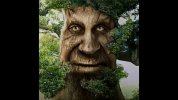 tree.jpg