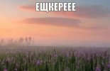 IMG_6465.jpeg