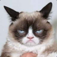 Kote_2314