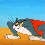 what are you watch im cat