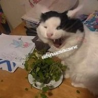 МаРиХуАнОчКа