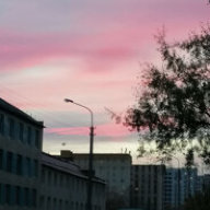 floralcloud