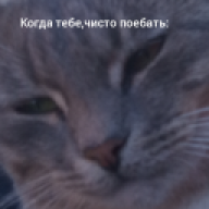 mrRUS2810