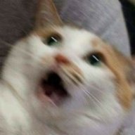 Makao