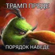 максимяйца