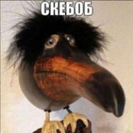 skebob