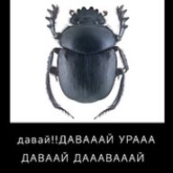 netki_ww32