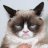 Kote_2314