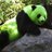 Greenpanda
