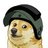 S.W.A.T. DOG