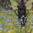 Lord_Faust666