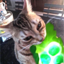 Моя бабушка курит трубку