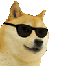 :CoolDoge: