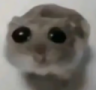:sadhamster: