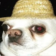 Аватар gosnoscontrol'