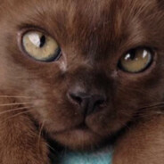 Аватар uuuuuuuuuuuuuuuuuuuuuuuu