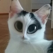 Аватар Mozzarella