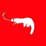 Аватар ты аянами рэй?