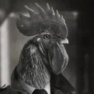 Аватар Rick Astley