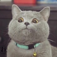 Аватар Rex