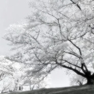 Аватар ONESIDE1337