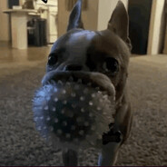 Аватар Ебём нубов