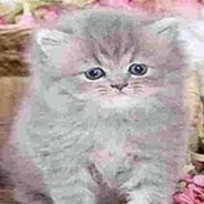 Аватар __a_very_evil_player__