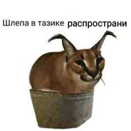 Аватар Louis
