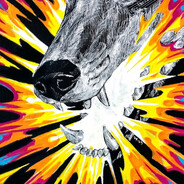 Аватар Bel Lorisov