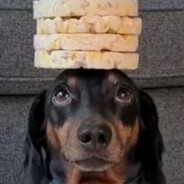 Аватар Cowboyfish