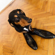 Аватар ҉L҉҉O҉҉X҉