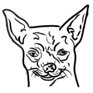 Аватар zxcursed