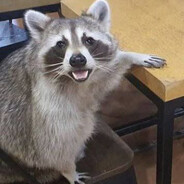 Аватар Енотик полоскун 1