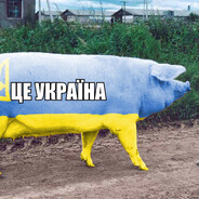 Аватар FIBONACCI