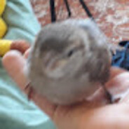 Аватар z0493823