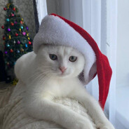 Аватар EVriDeQKa